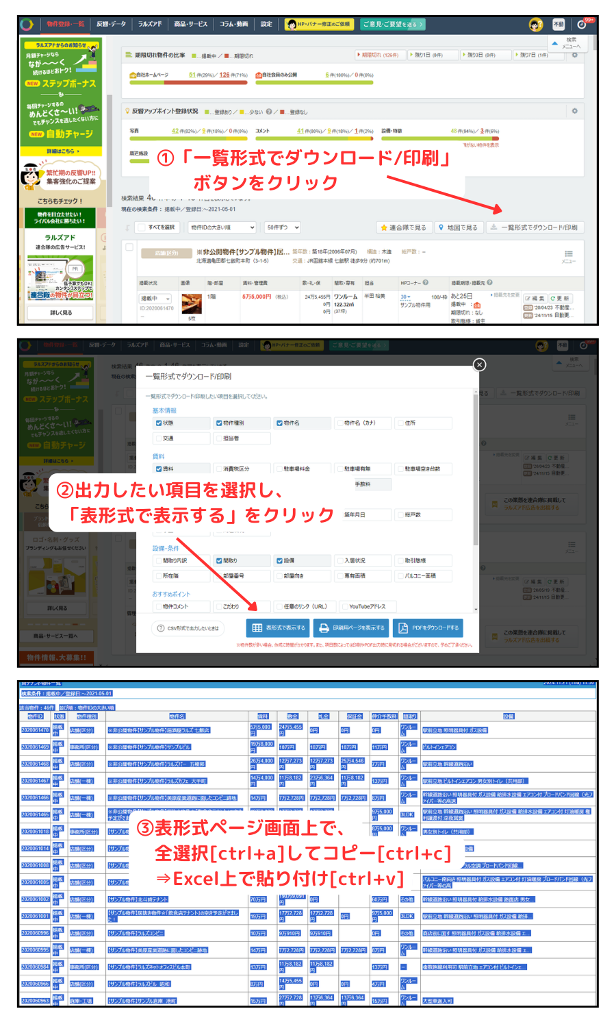 Excelへの貼り付け方法